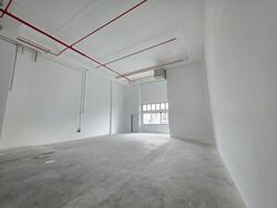 Ct Foodnex (D25), Factory #496456441